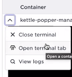 Open exec terminal